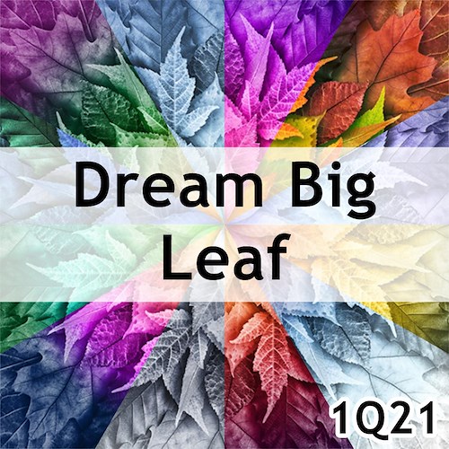 Dream Big Leaf